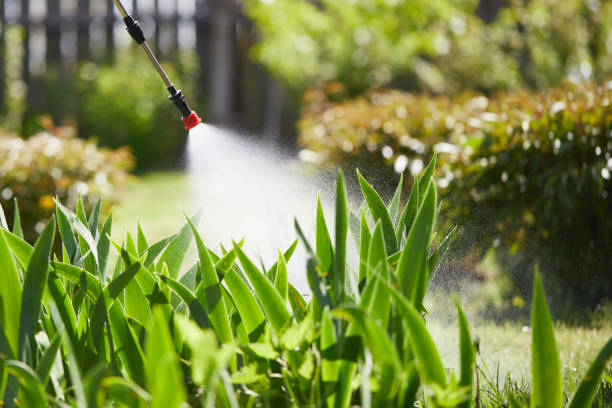 24/7 Emergency Mosquito Control experts in Paden City, WV