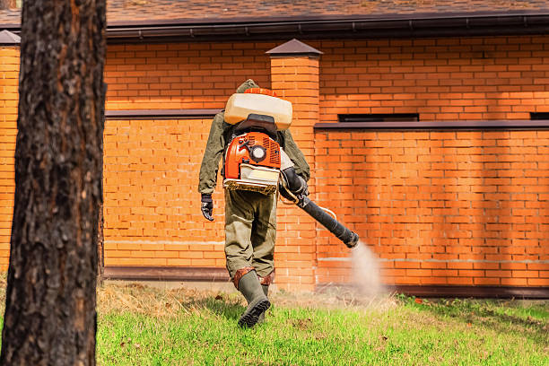 Top rated local Mosquito Control specialists in Paden City, WV